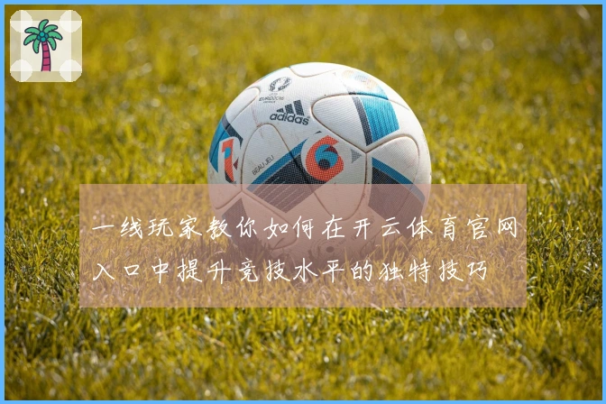 一线玩家教你如何在开云体育官网入口中提升竞技水平的独特技巧