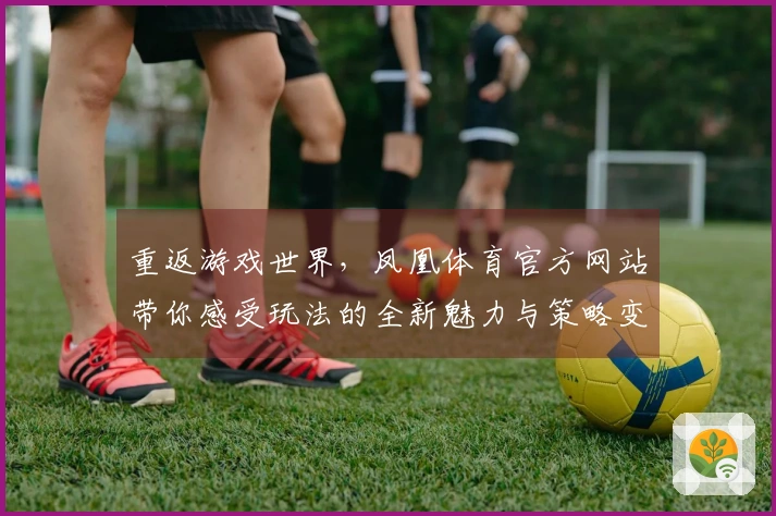 重返游戏世界，凤凰体育官方网站带你感受玩法的全新魅力与策略变革