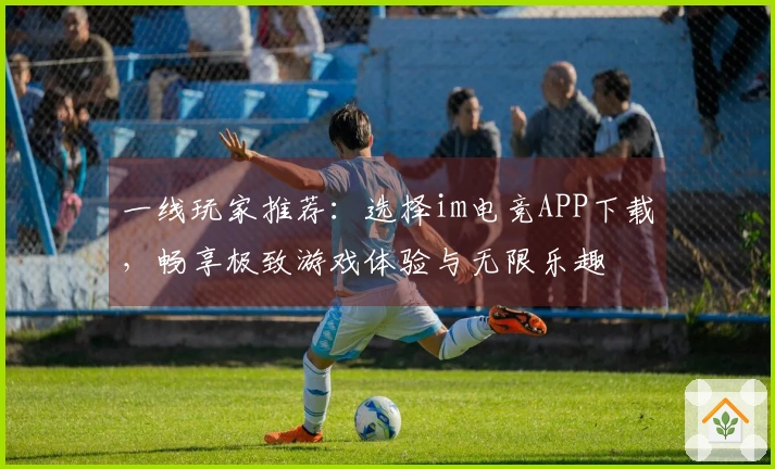 一线玩家推荐：选择im电竞APP下载，畅享极致游戏体验与无限乐趣